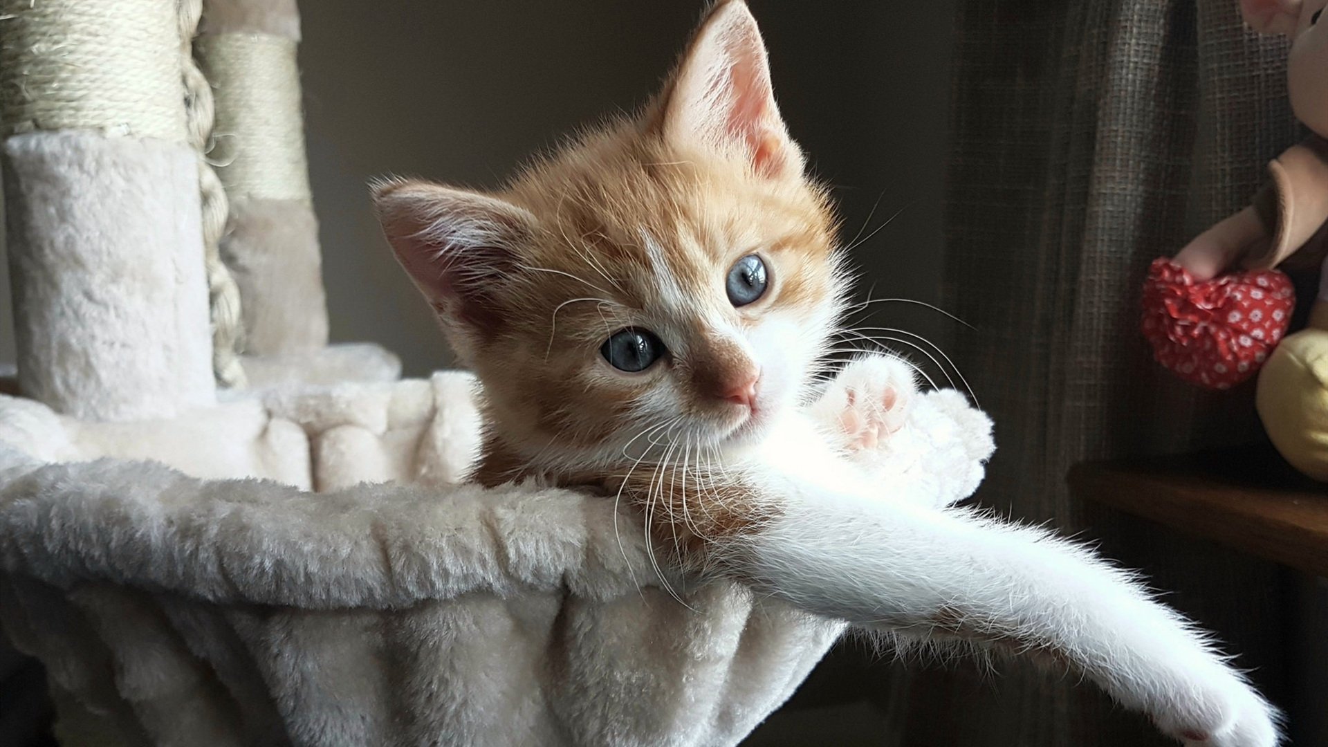 _传统体育村:体验民族运动的风采_,民族传统体育文化