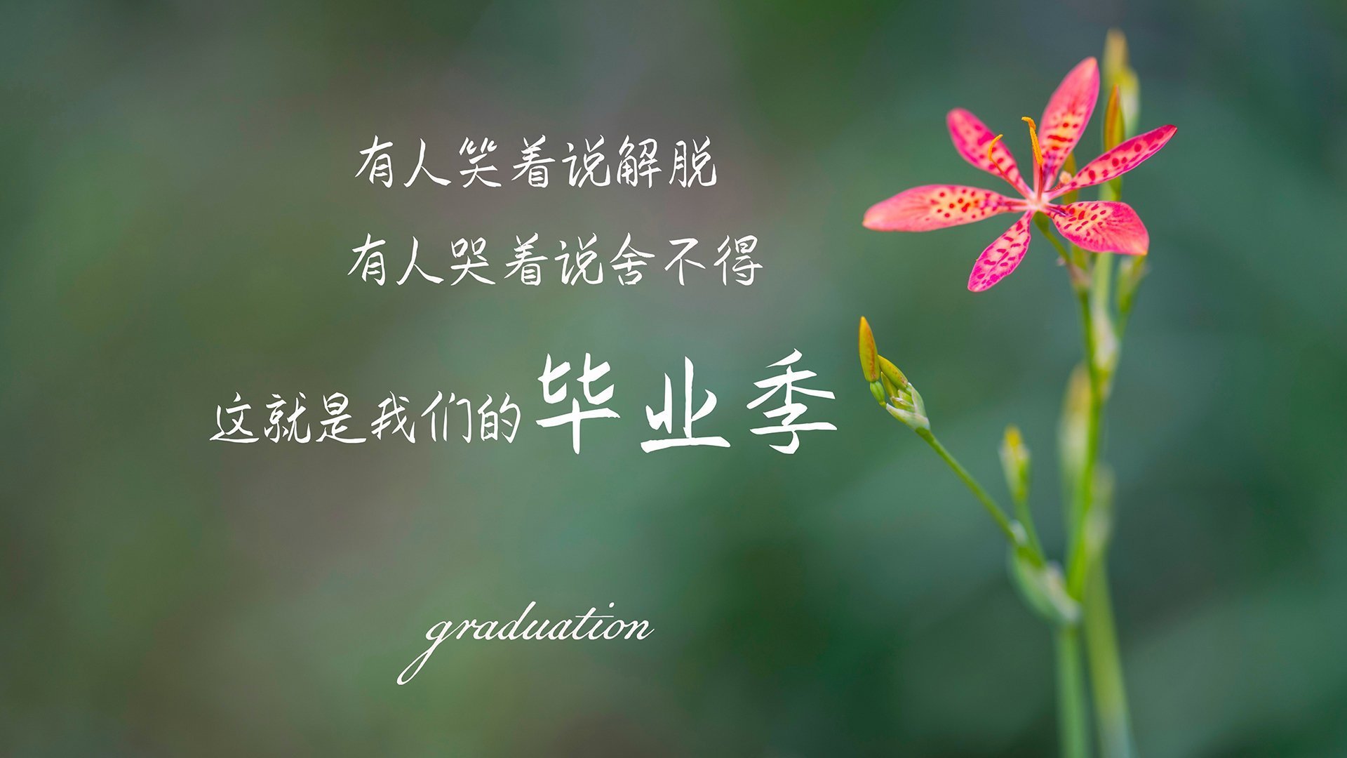 九游APP官网-_年度大奖：网球界的最佳表现盘点_，网球比较出名的球员