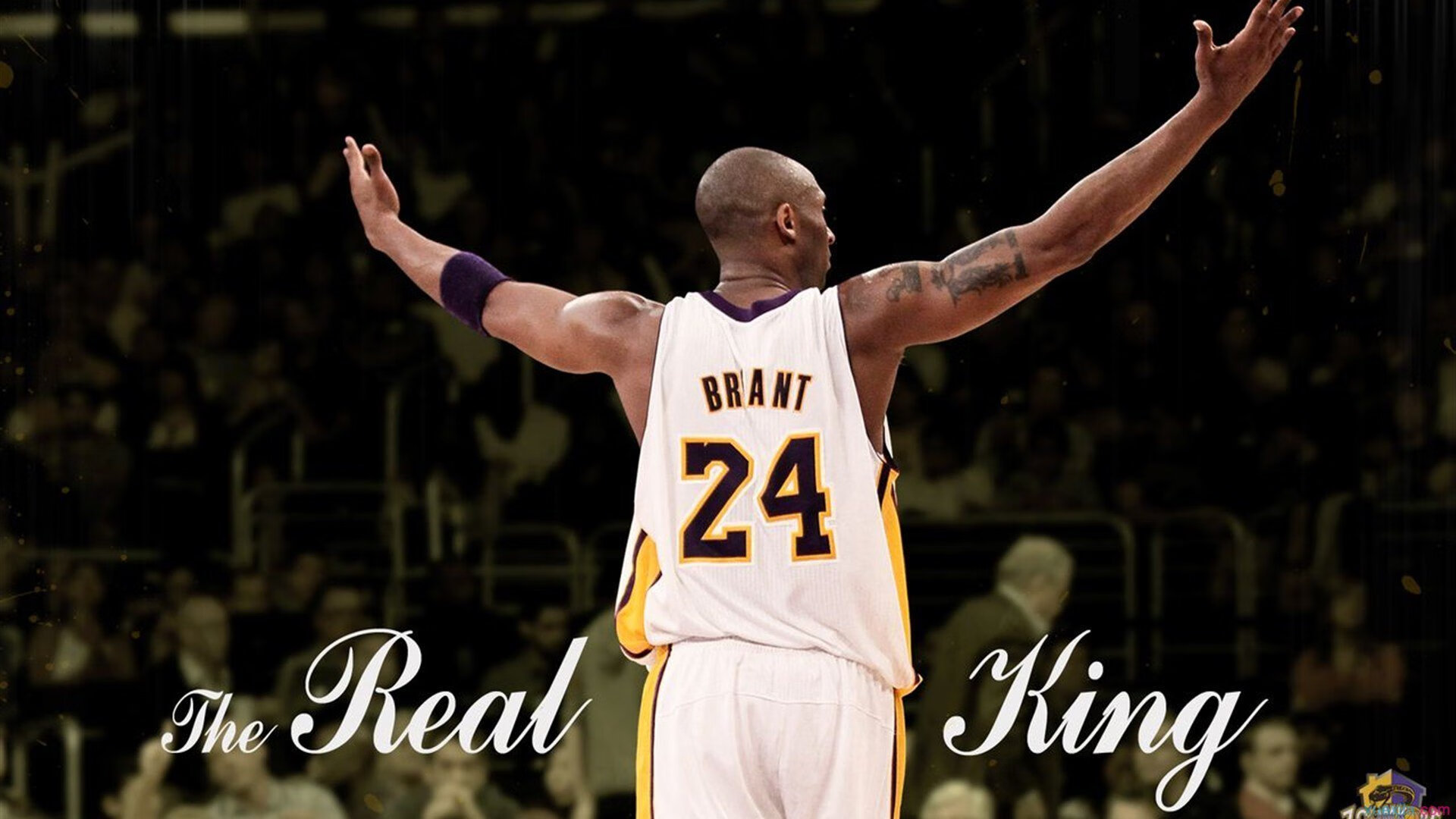 _精彩配角:教练、裁判、工作人员幕后故事_,主教练当裁判