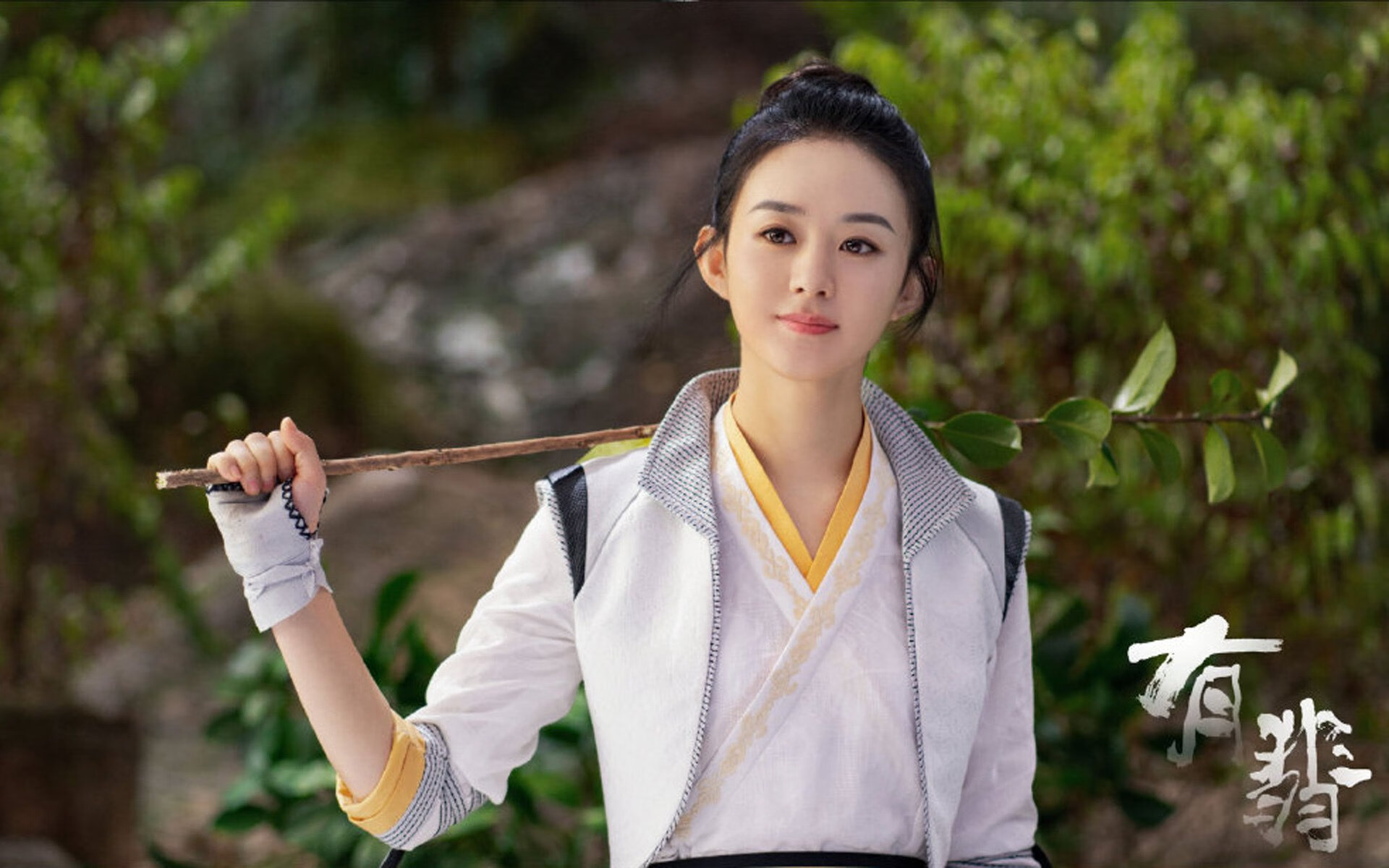 “中国足球职业化迈出坚实步伐,行业整体提质升级”,中国足球职业化进程所遇到的最大阻碍