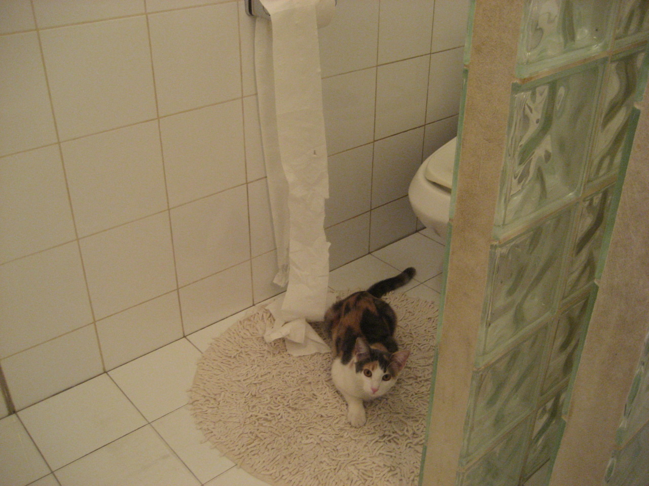 “中国女足签约国内外赞助商,助推体育产业发展”,中国女足代言