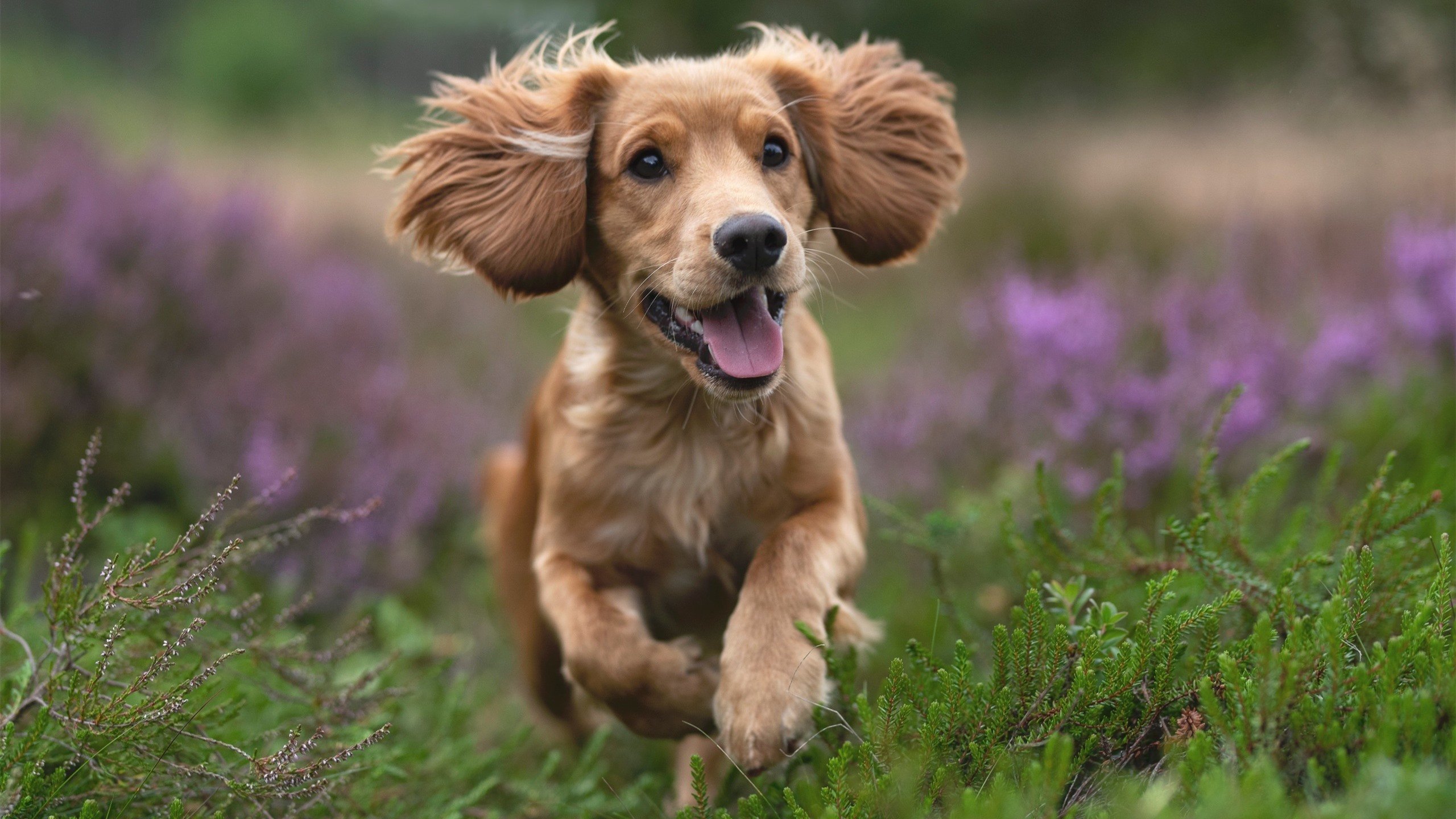 九游娱乐-“花式绝技：联盟顶尖炫技大赏”，英雄联盟炫技大师是谁