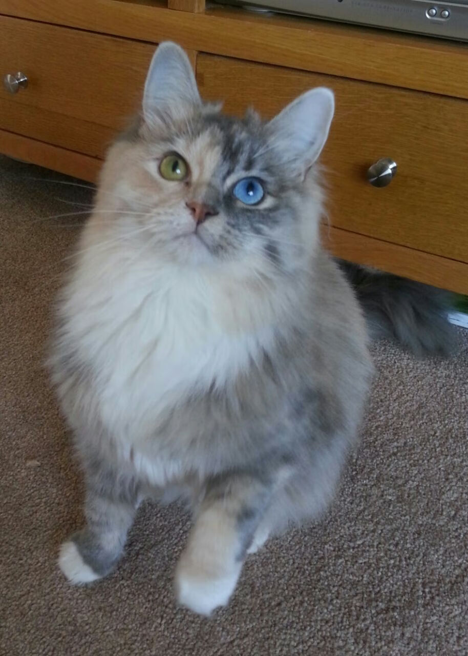 九游娱乐(jiuyou)官网-全国青少年“篮球文化节”在昆明跨界融合，推广多元体育文化，昆明青少年篮球训练营