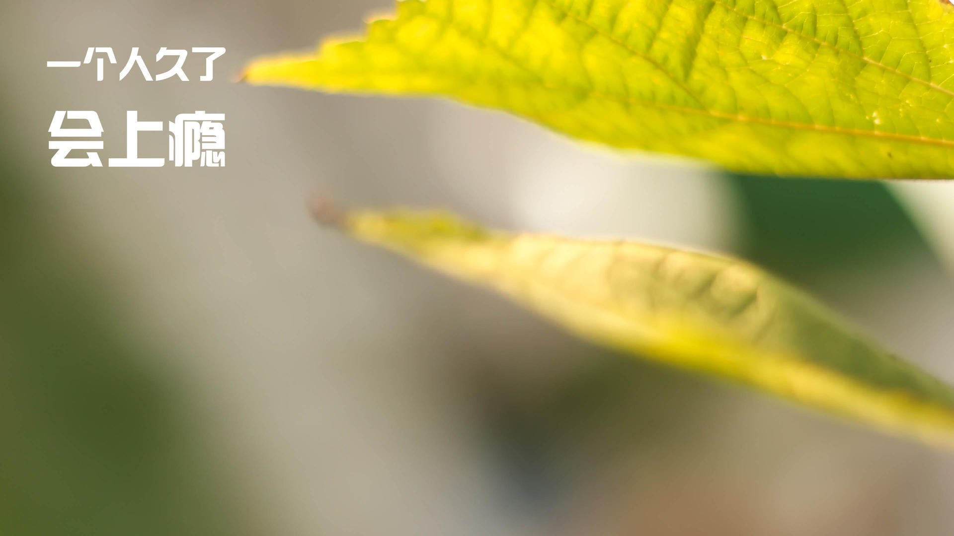 史上最令人震惊的逆转战：夜晚的“奇迹之旅”