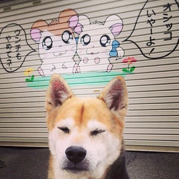 游戏测试流程的完善:质量保证与用户体验,游戏测试流程图