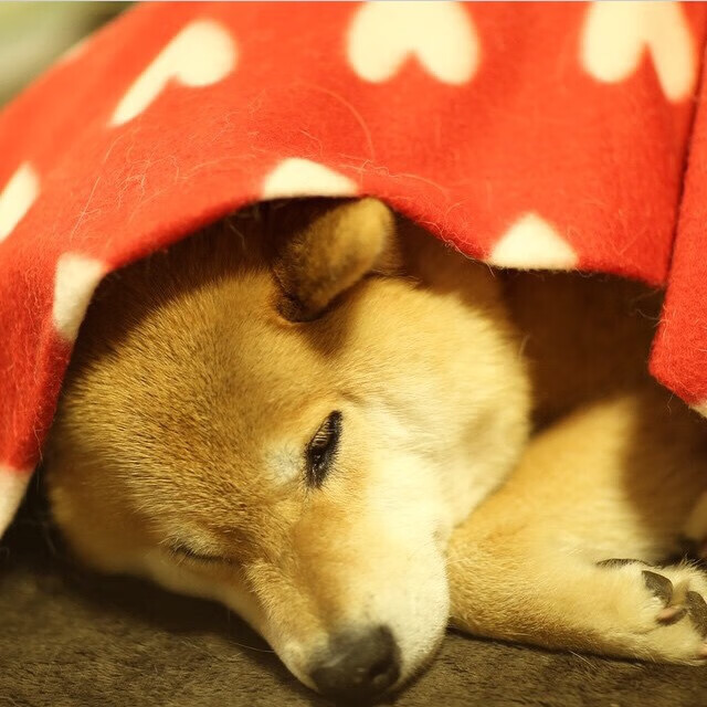 九游登录中心-深度剖析：欧冠中的高压逼抢战术成功秘诀