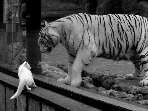 九游娱乐官网 (JIUYOU)-特色青训“生态圈”在全国多地逐步筑牢，行业格局进一步优化