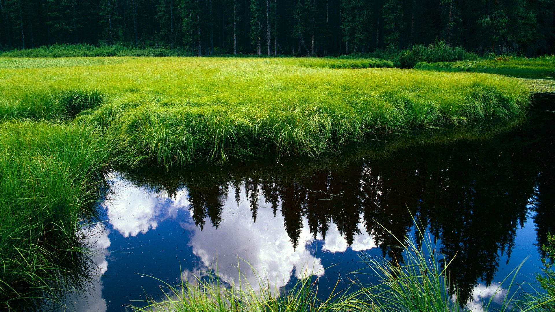 终场“绝杀夜”：欧洲战场上的经典收官瞬间，欧洲电影绝杀