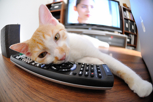 裁判判罚争议不断，如何保证比赛公正？，裁判判罚争议不断,如何保证比赛公正性