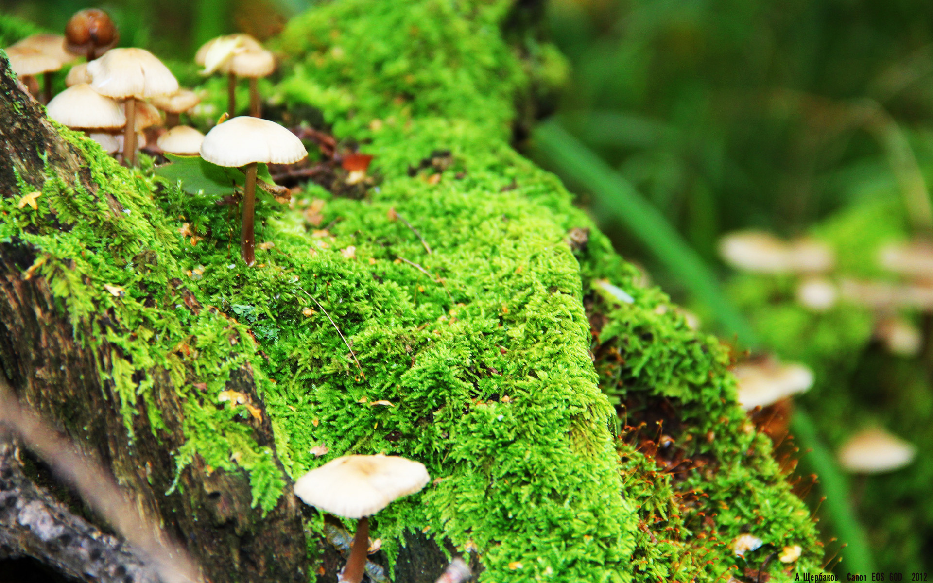 九游网页版官网-西甲高光瞬间，球员分享赛场心路，西甲榜首