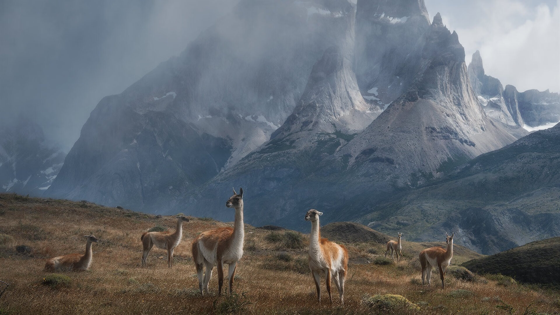 九游登录中心-AC米兰客场不敌，再次遭遇失利，ac米兰v