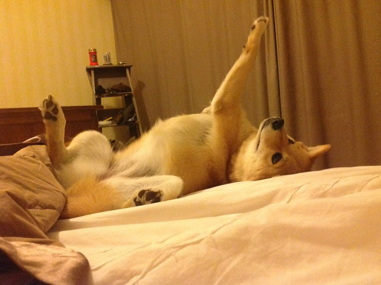 九游网页版官网-中国足球比赛激烈对决，球员表现令人惊叹，中国足球队比赛视频