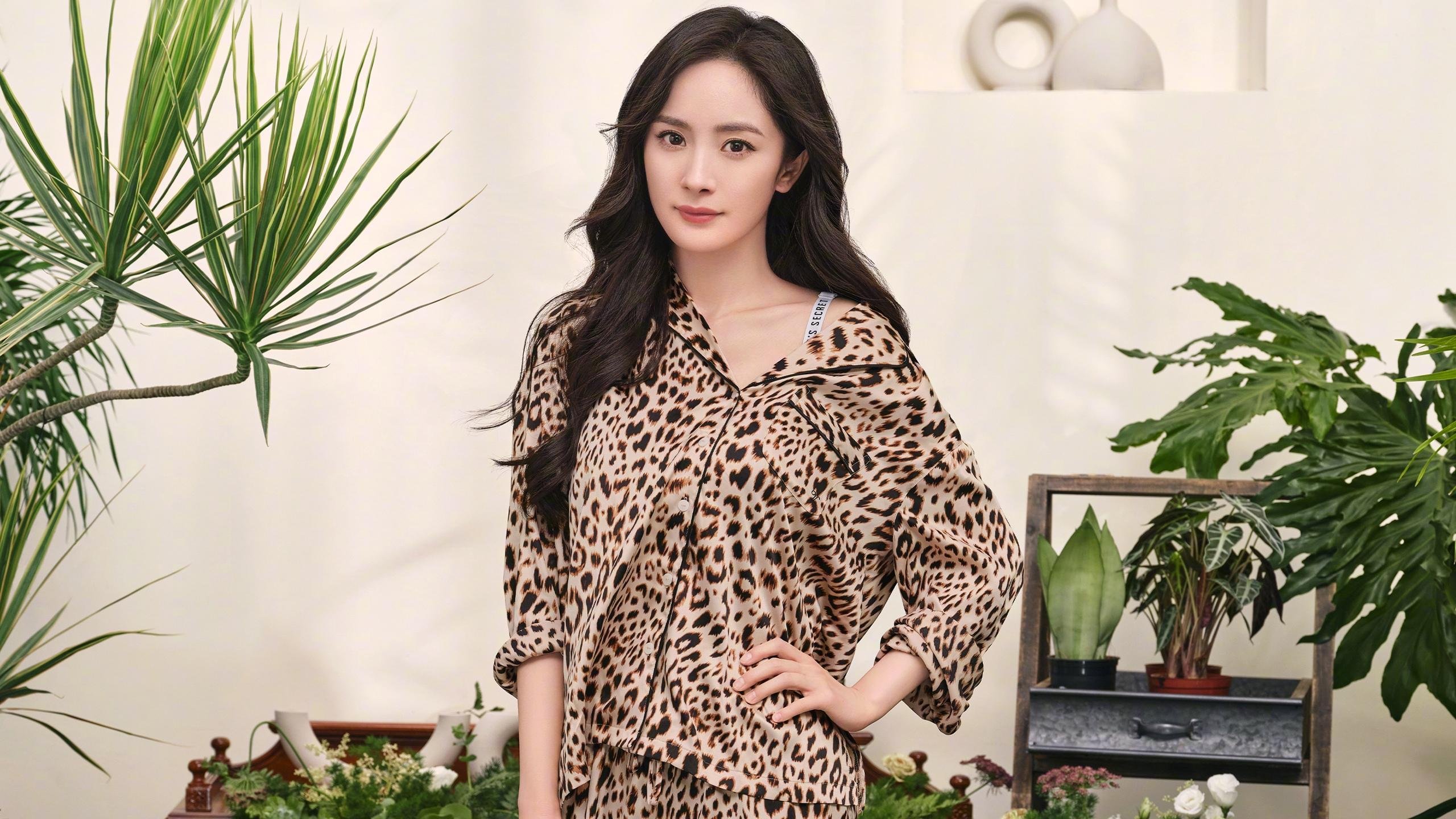 九游-千叶喷射机球员伤病逐渐恢复，千叶喷射机篮球