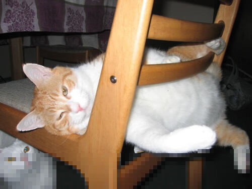 巴塞罗那再度获胜,稳居积分榜首,巴塞罗那最精彩的比赛