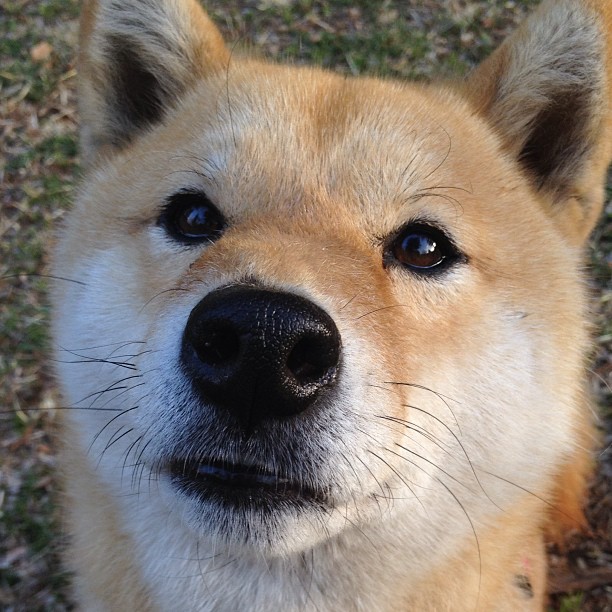 欧洲足球巅峰对决,球场上的胜负难以预料,欧洲足球集锦