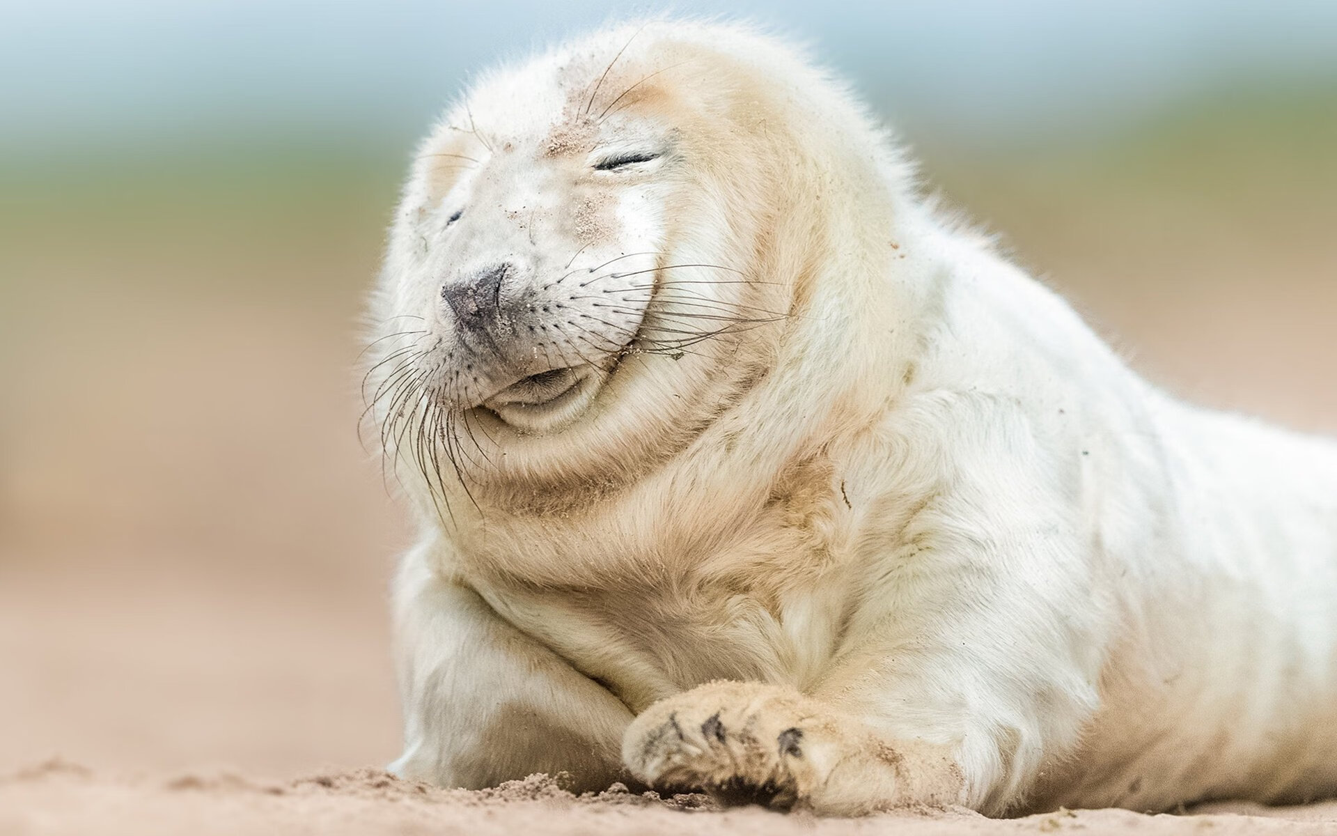 灰熊队外线火力不足，持续寻求补强，灰熊队内线