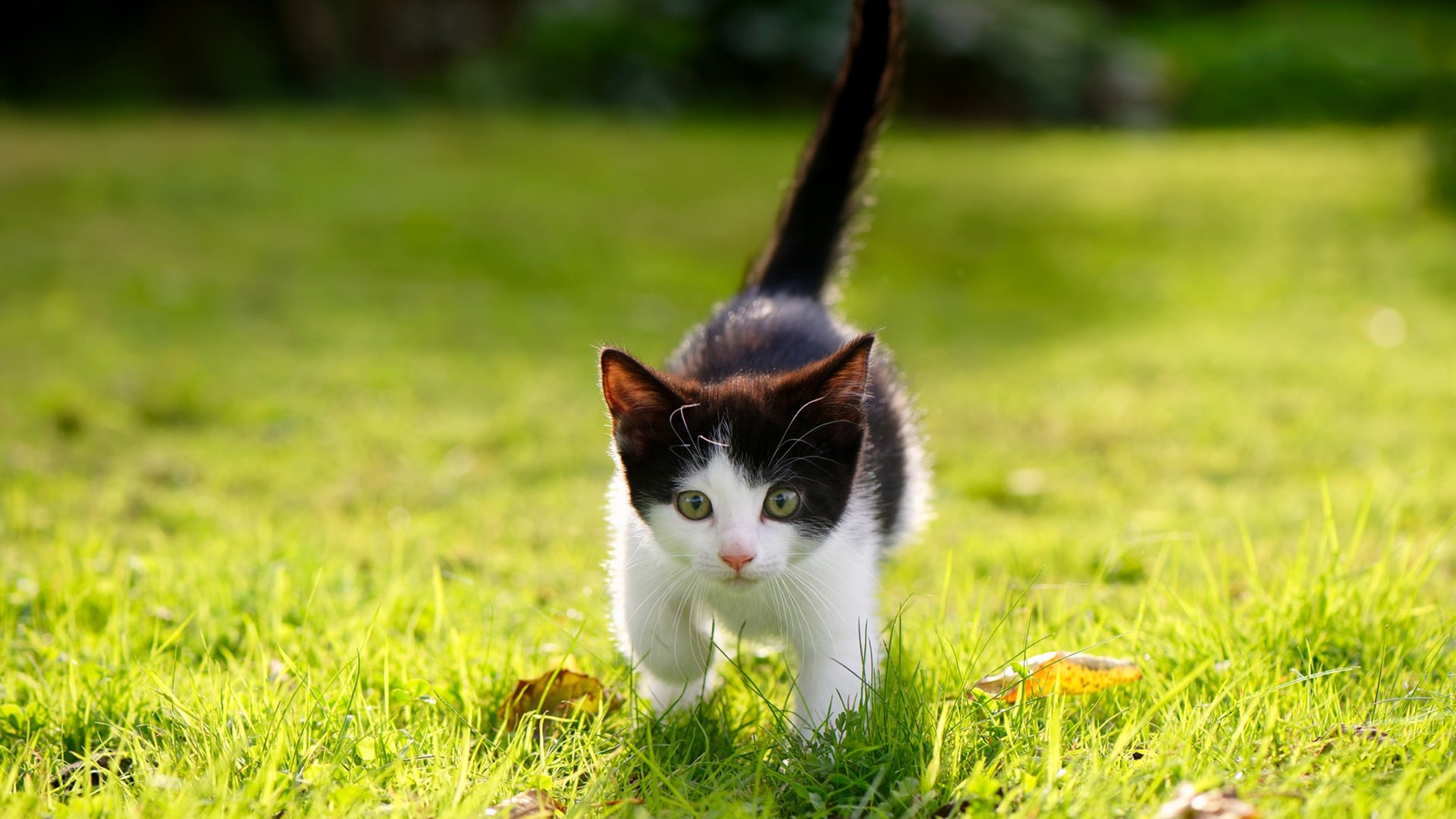 九游jiuyou-石油人新赛季开局强劲，石油人展望2021