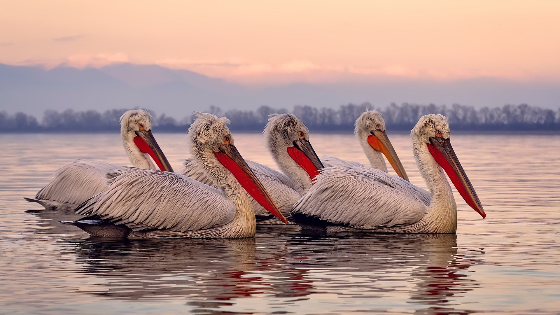 体育教学辅助设备创新应用研究，体育教学辅助设备创新应用研究方向