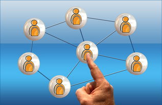 Jiuyou-英超球员社交媒体互动提升粉丝忠诚度研究，英超球队球迷