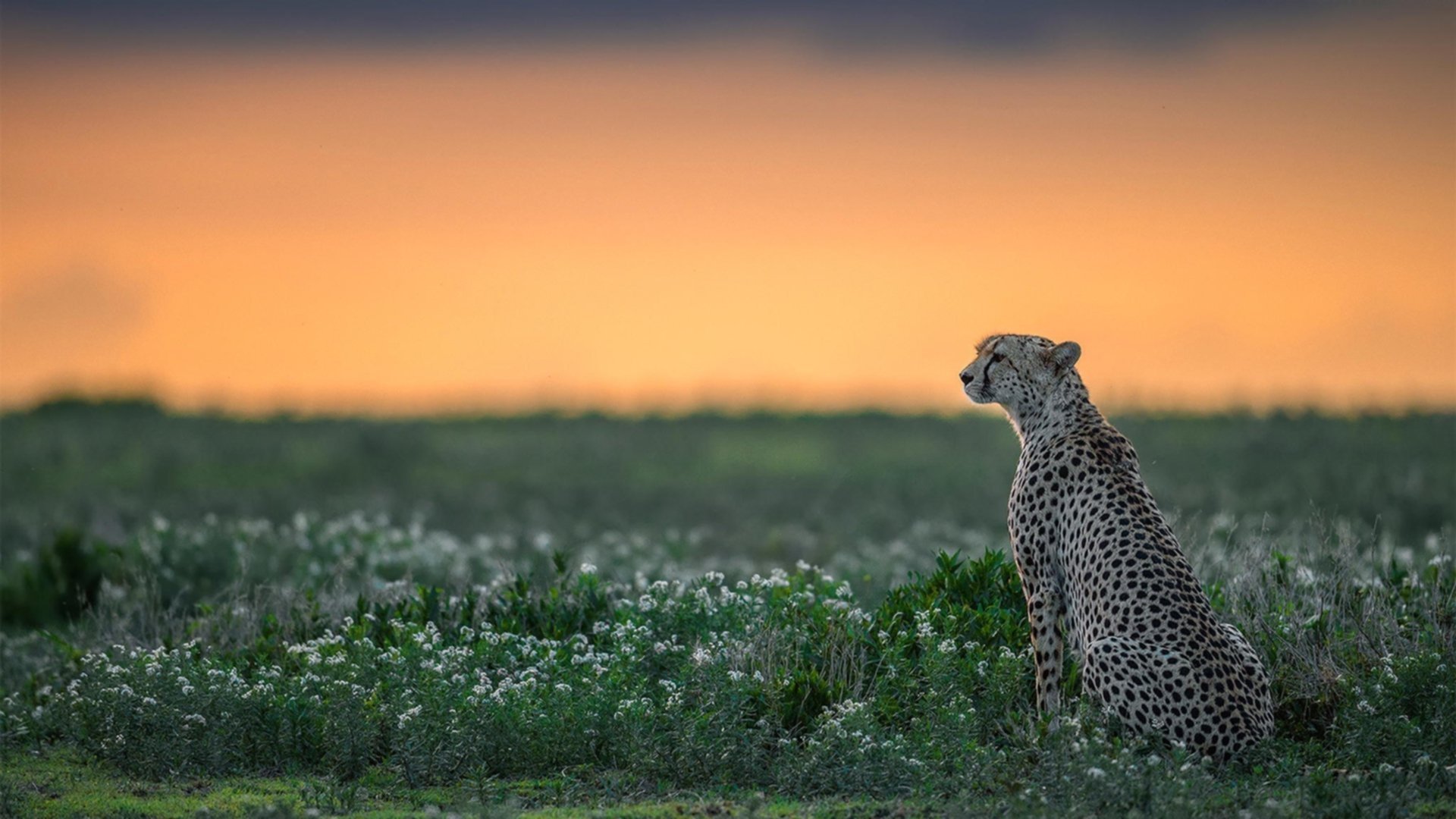 九游sports-青少年体育运动中的安全教育对策，青少年体育运动中的安全教育对策有哪些
