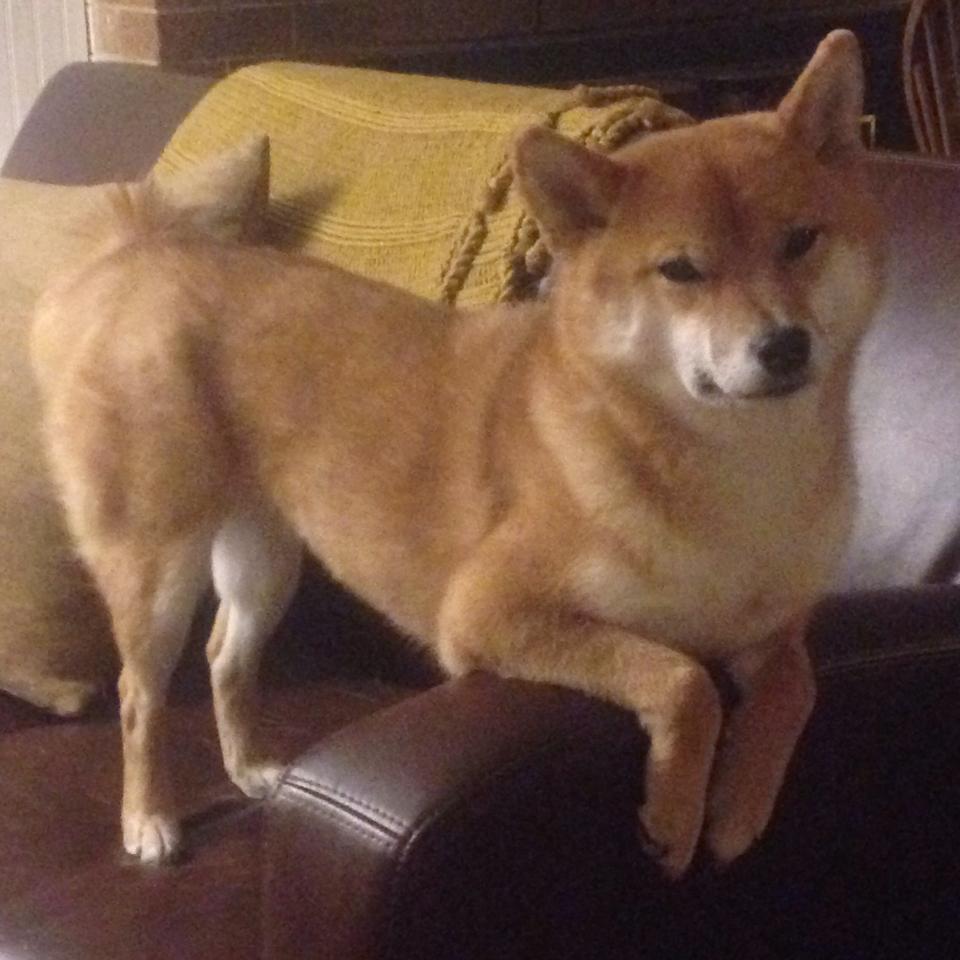 出发反应最快选手冲刺力强，反应最快的职业选手