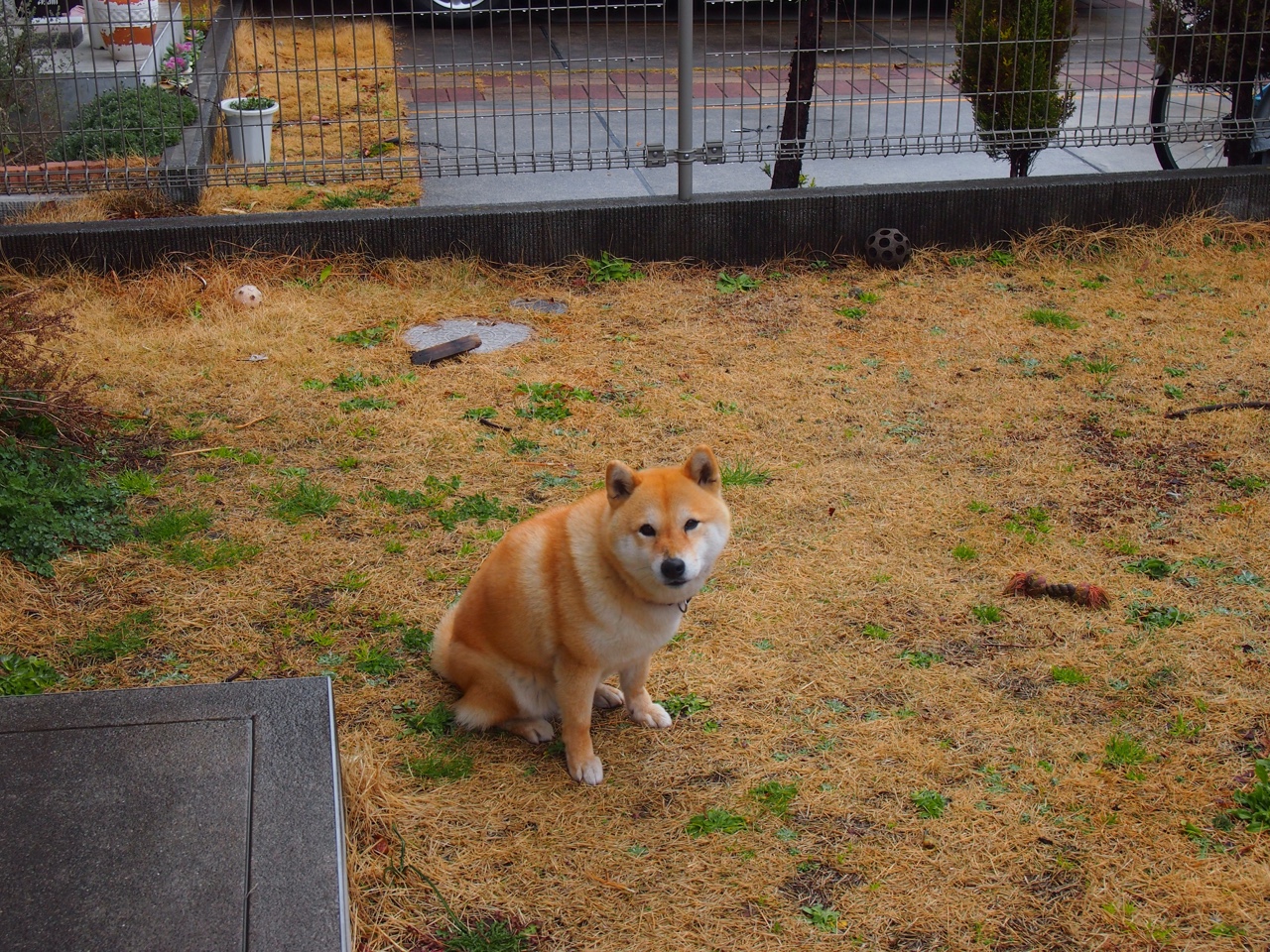 九游网页版官网入口-国家队训练节奏为何与比赛节奏脱节，国家队的训练时间