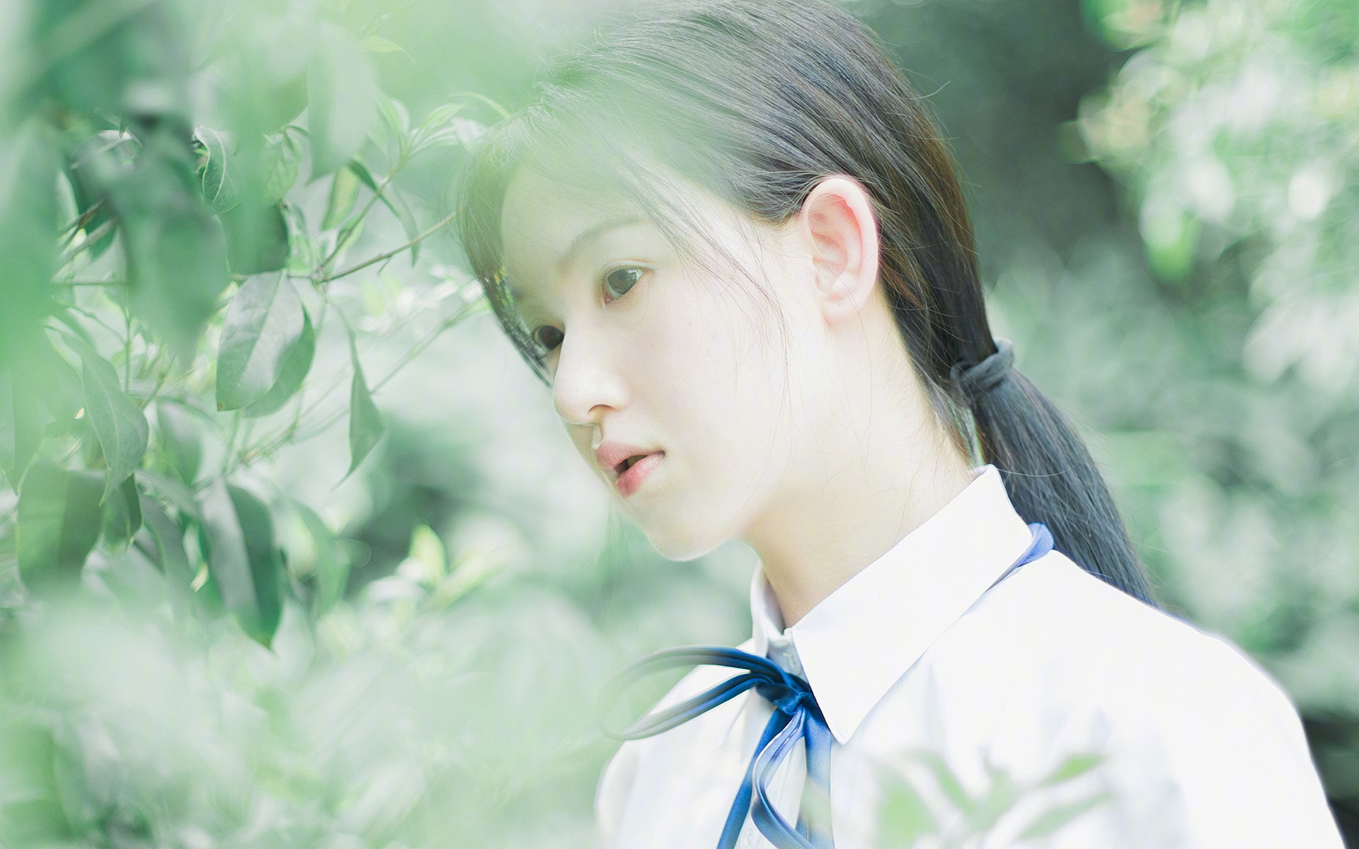 基层球员选拔机制缺乏公开性，基层球员选拔机制缺乏公开性怎么办