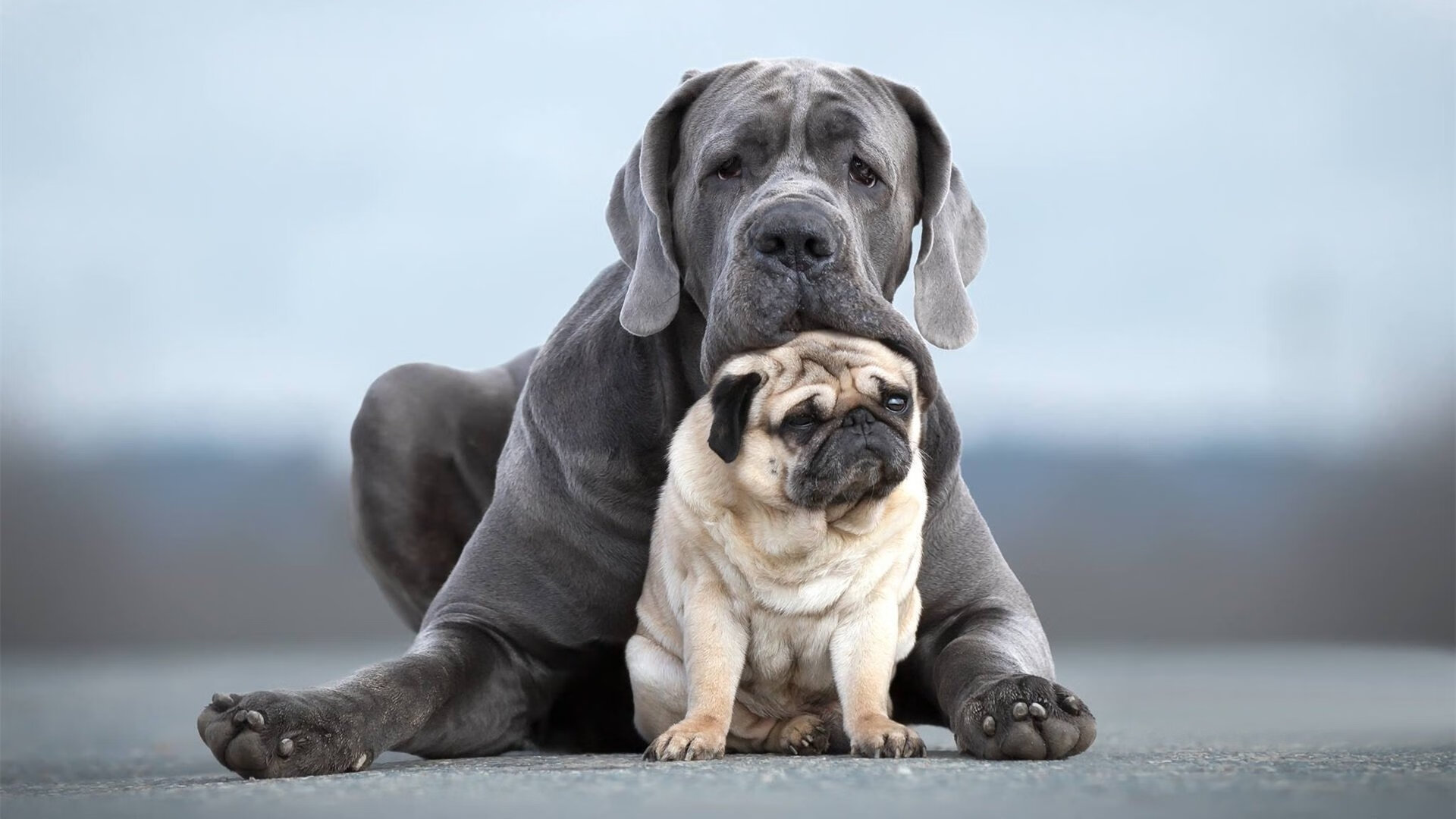青少年足球参与热情不高,青少年足球热身训练