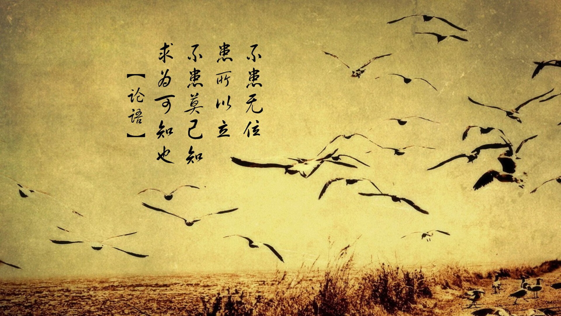 九游官网pc-“费尔南多·比亚尔巴：阿根廷橄榄球的技艺与智慧的结合体”