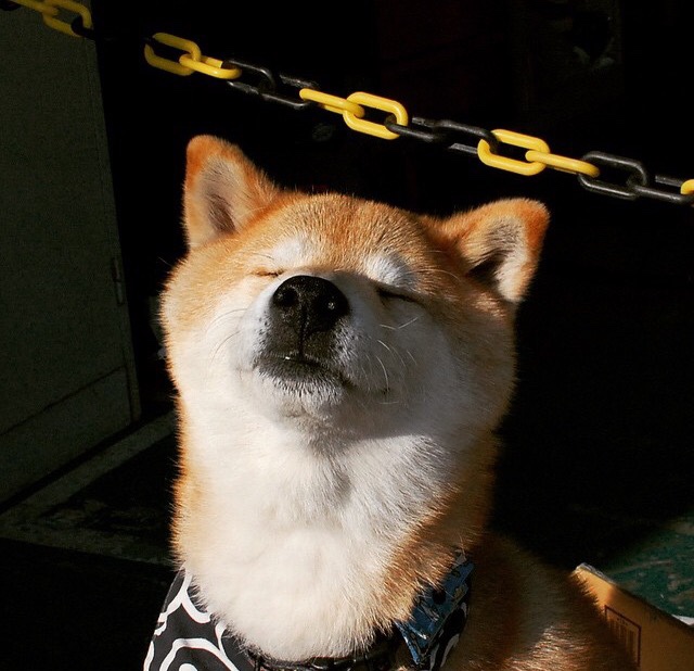 九游网页版官网-乌拉圭女篮在南美锦标赛中表现卓越，迈向国际舞台光辉，乌拉圭3_0南非