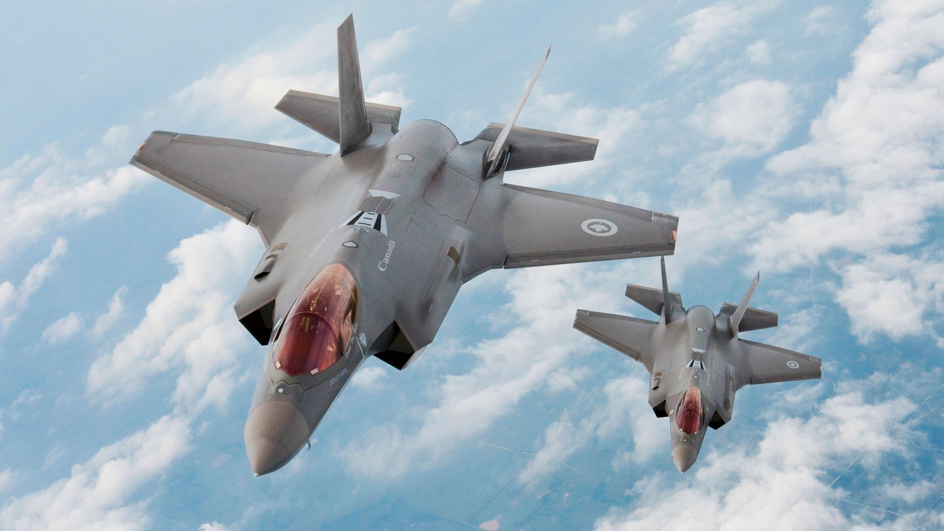 南非羚羊队:每一场比赛中,他们都能迅速恢复并进入节奏,南非大羚羊主要分布哪里