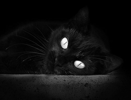 法甲春风得意：一场场精彩比赛不断上演，法甲 德甲