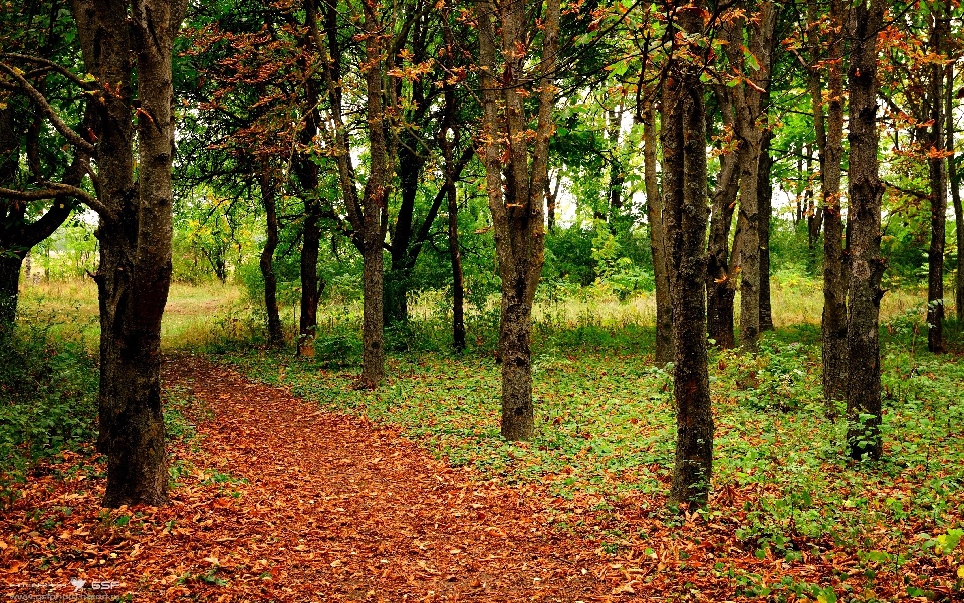 Jiu You-球员伤病潮来袭，俱乐部应对压力大，球员伤病有工资吗