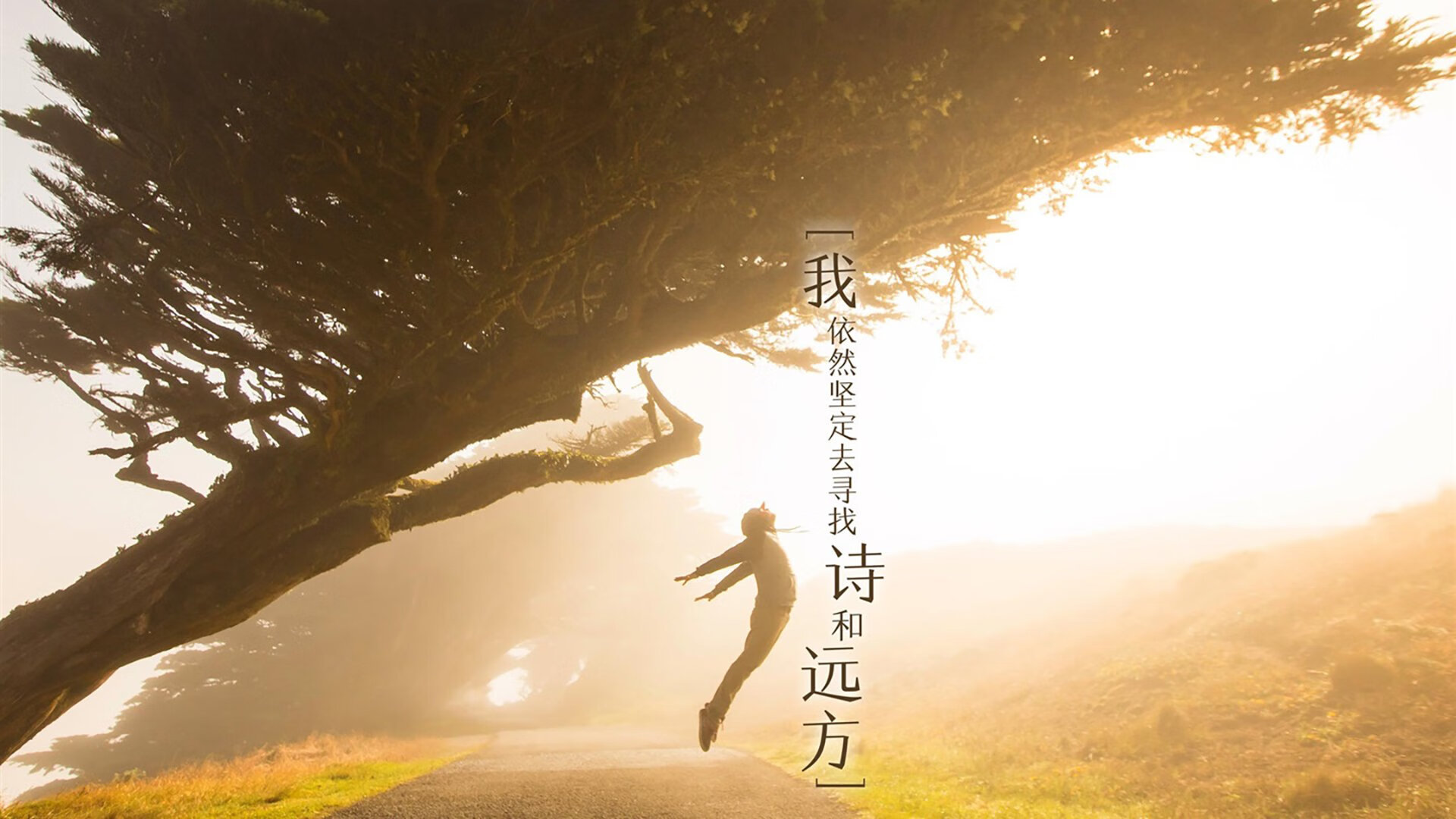 跳水荷兰女选手步步为营，国外女士跳水